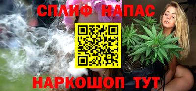 крисы Краснознаменск
