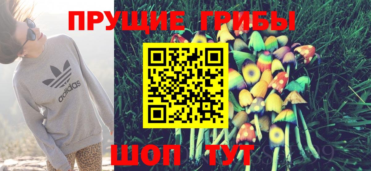 Карпинск  как найти   Псилоцибиновые грибы Magic Shrooms  Вход с VPN  Галлюциногенные грибы MAGIC MUSHROOMS 