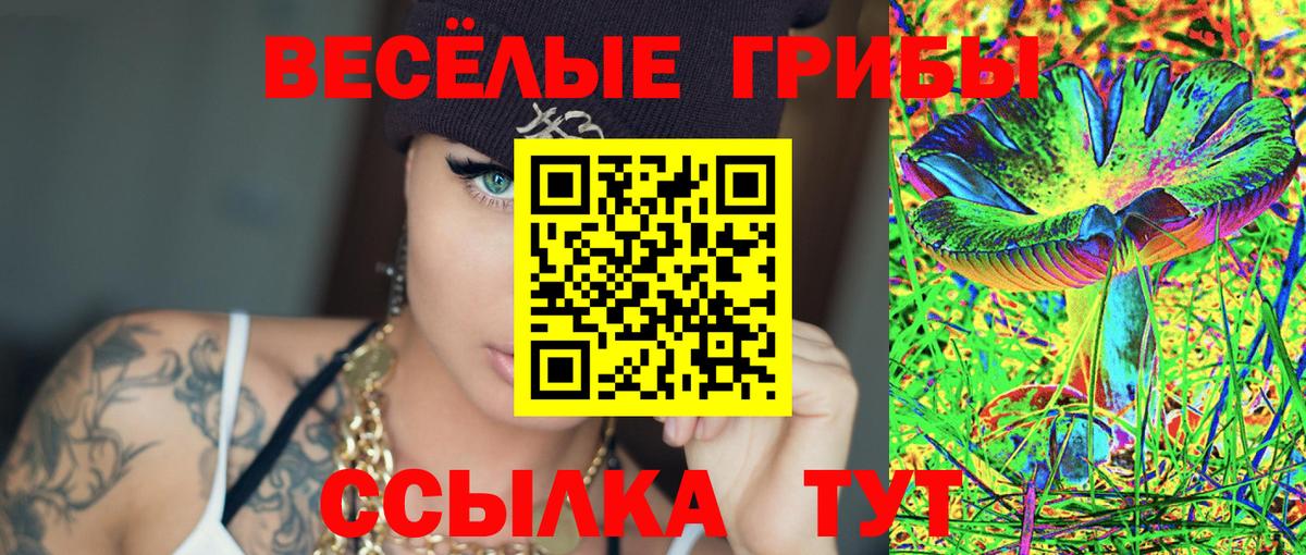 Галлюциногенные грибы Psilocybine cubensis Карпинск